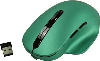 Манипулятор JETACCESS Optical Mouse R300G Aquamarine (RTL) USB 6btn+Roll беспроводная