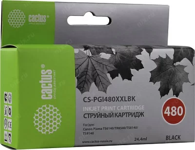 Картридж Cactus CS-PGI480XXLBK Black для  Canon Pixma  TS6140/TS8140/TS9140/TR8540