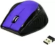 Манипулятор SmartBuy EZ Work Pro Wireless Optical Mouse SBM-613AG-PK (RTL) USB  6btn+Roll беспроводная