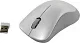 Манипулятор CANYON Wireless Optical Mouse CNE-CMSW11PW (RTL) USB 3btn+Roll