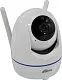 Видеокамера Ritmix IPC-210 PTZ Wi-Fi Camera (1920x1080 802.11n microSDXC мик.  LED)