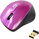 Манипулятор SmartBuy EZ Work Pro Wireless Optical Mouse SBM-309AG-I (RTL)  USB 3btn+Roll  беспроводная