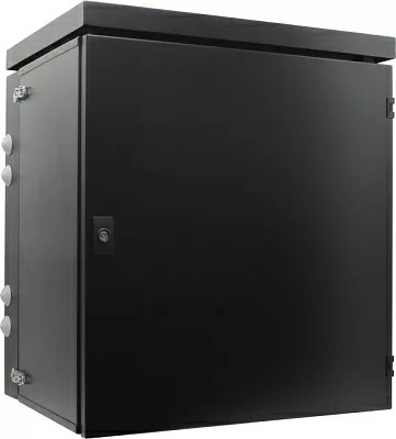 NT WALLBOX IP55 12-64 B Шкаф 19" настенный пылевлагозащищенный чёрный  12U  600*460 дверь  цельнометалл.